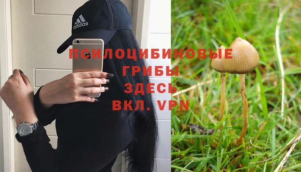 меф Алзамай