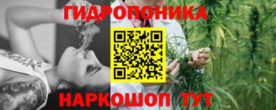 прущая мука Кулебаки