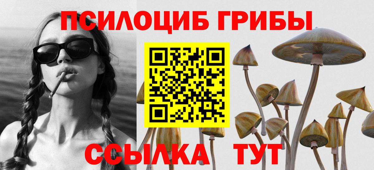 Грязи  Псилоцибиновые грибы мицелий  Вход с VPN 